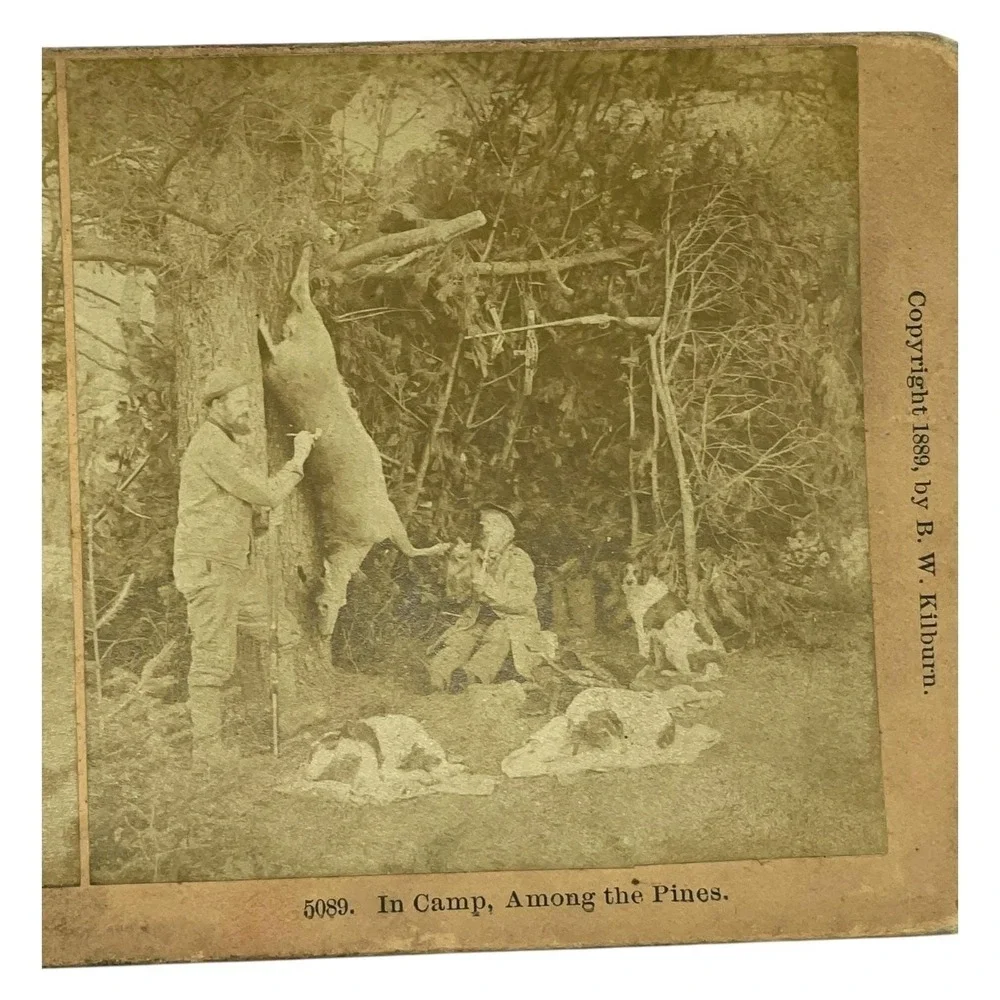 1889 BW Kilburn Stereoview In Camp Among the Pines Hunting Scene Dogs